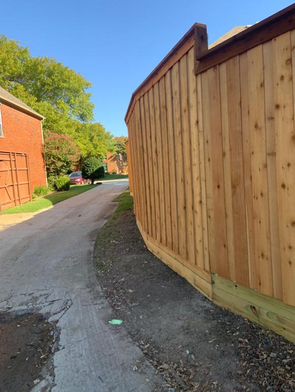 Cedar privacy fence